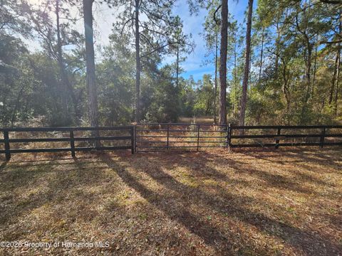 Vacant Land For Sale - Rosehill Drive<br/> Webster, FL 33597