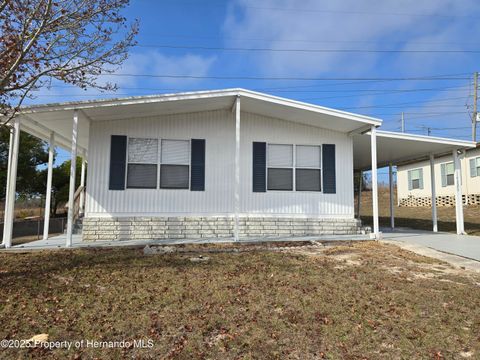 Homes For Sale - 14220 Brookridge Boulevard<br/> Brooksville, FL 34613