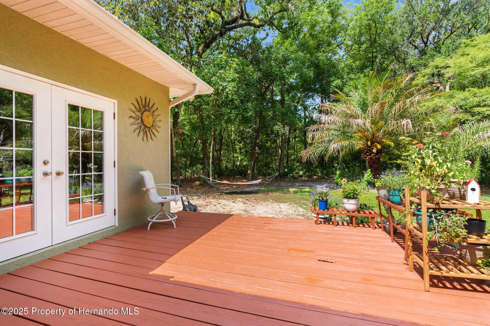 14145 Citrus Way, Brooksville, Florida image 11