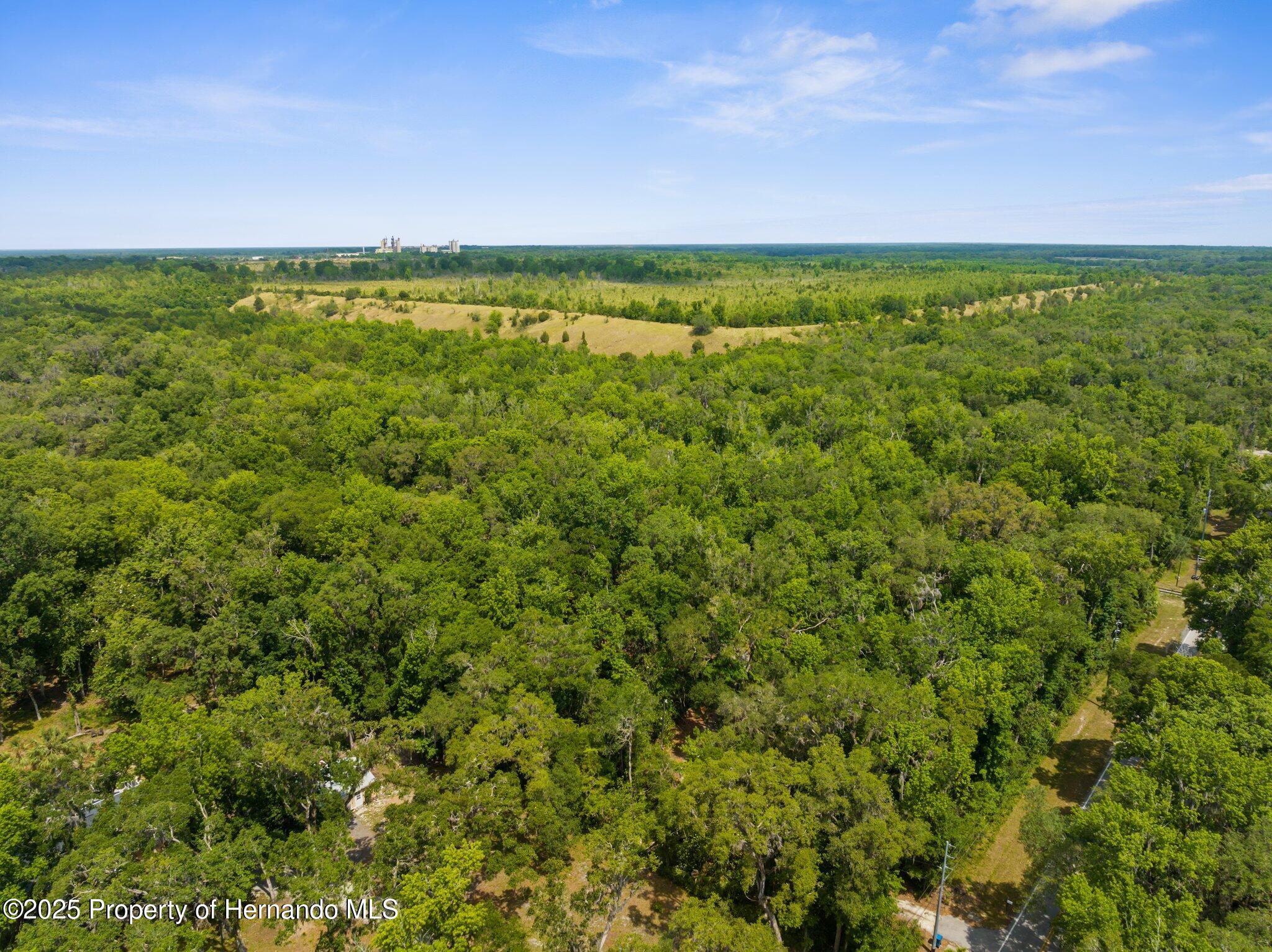 14145 Citrus Way, Brooksville, Florida image 2