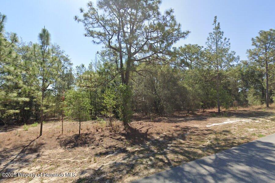 2684 W Angola Drive, Beverly Hills, Florida image 1