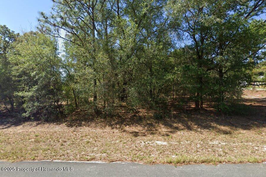 2684 W Angola Drive, Beverly Hills, Florida image 2