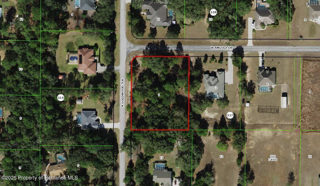 2684 W Angola Drive, Beverly Hills, Florida image 3