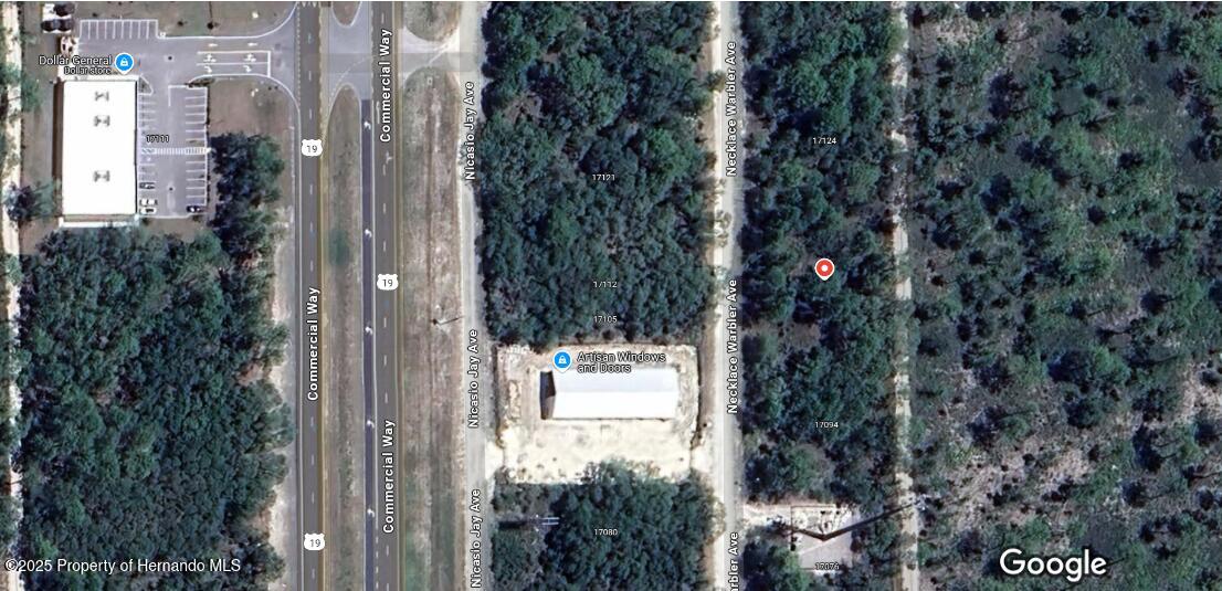 17108 Necklace Warbler Avenue, Weeki Wachee, Florida image 1