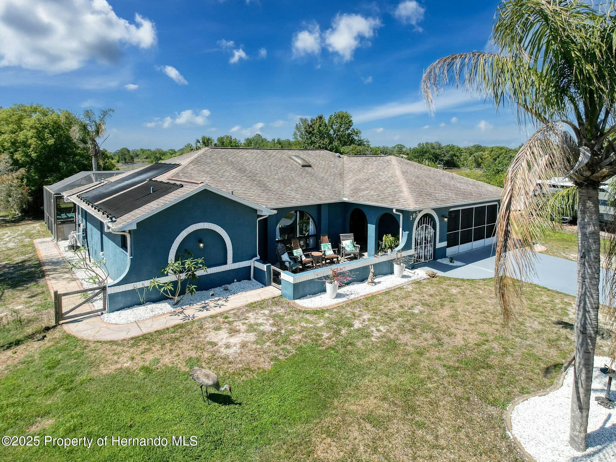 183 Hague Court, Spring Hill, Florida image 3