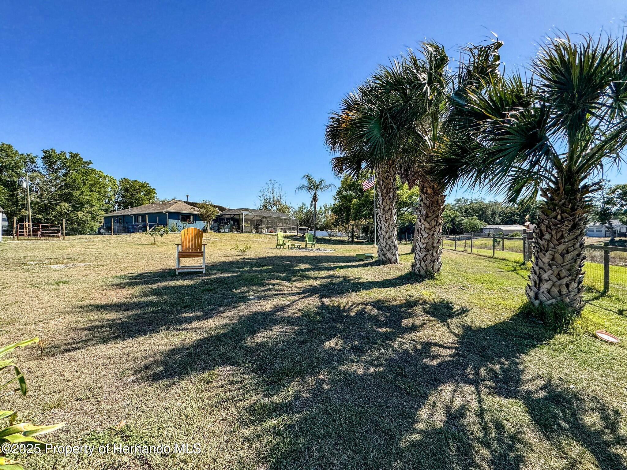 183 Hague Court, Spring Hill, Florida image 42
