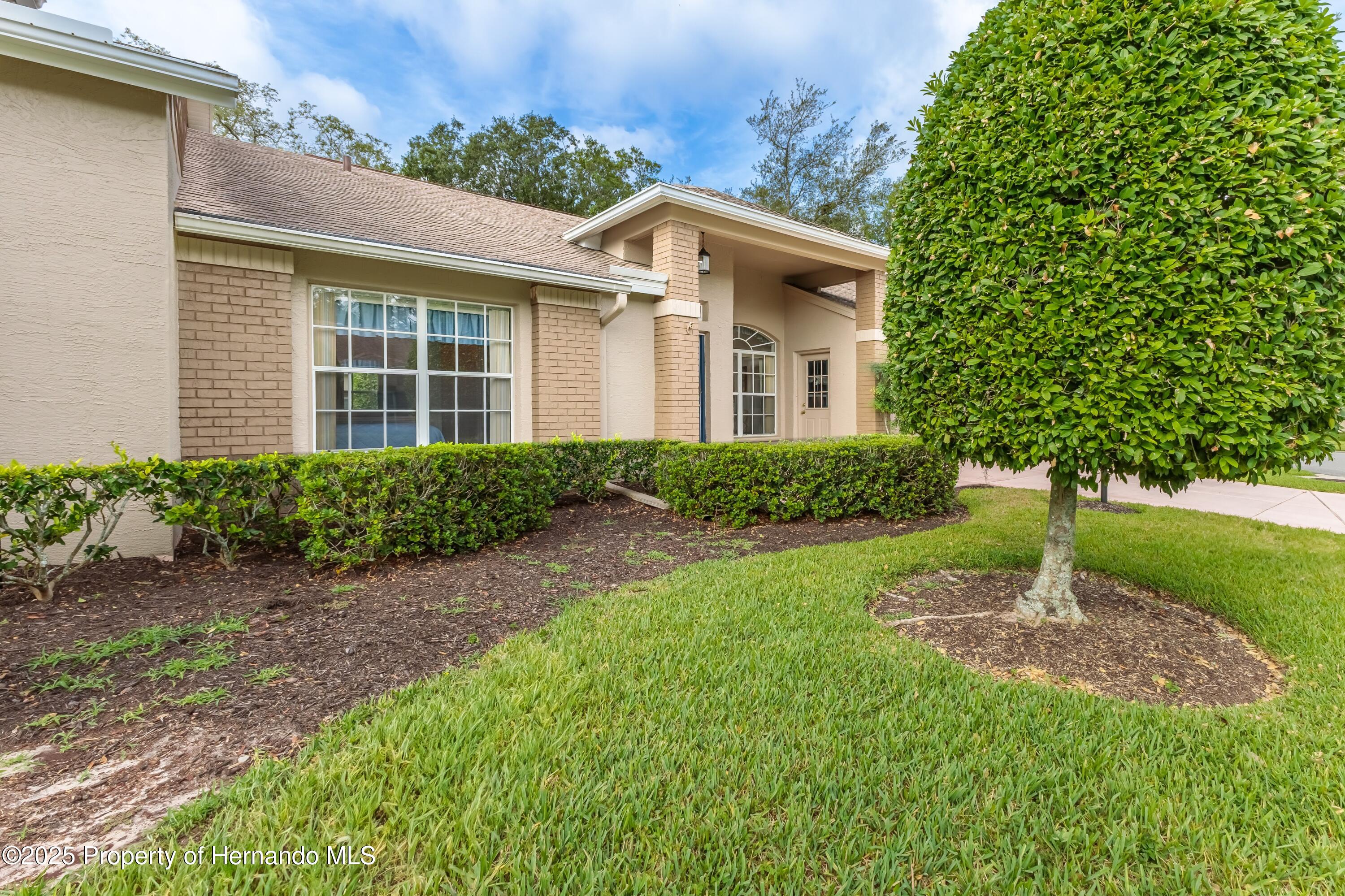 7392 Willow Brook Drive, Spring Hill, Florida image 4