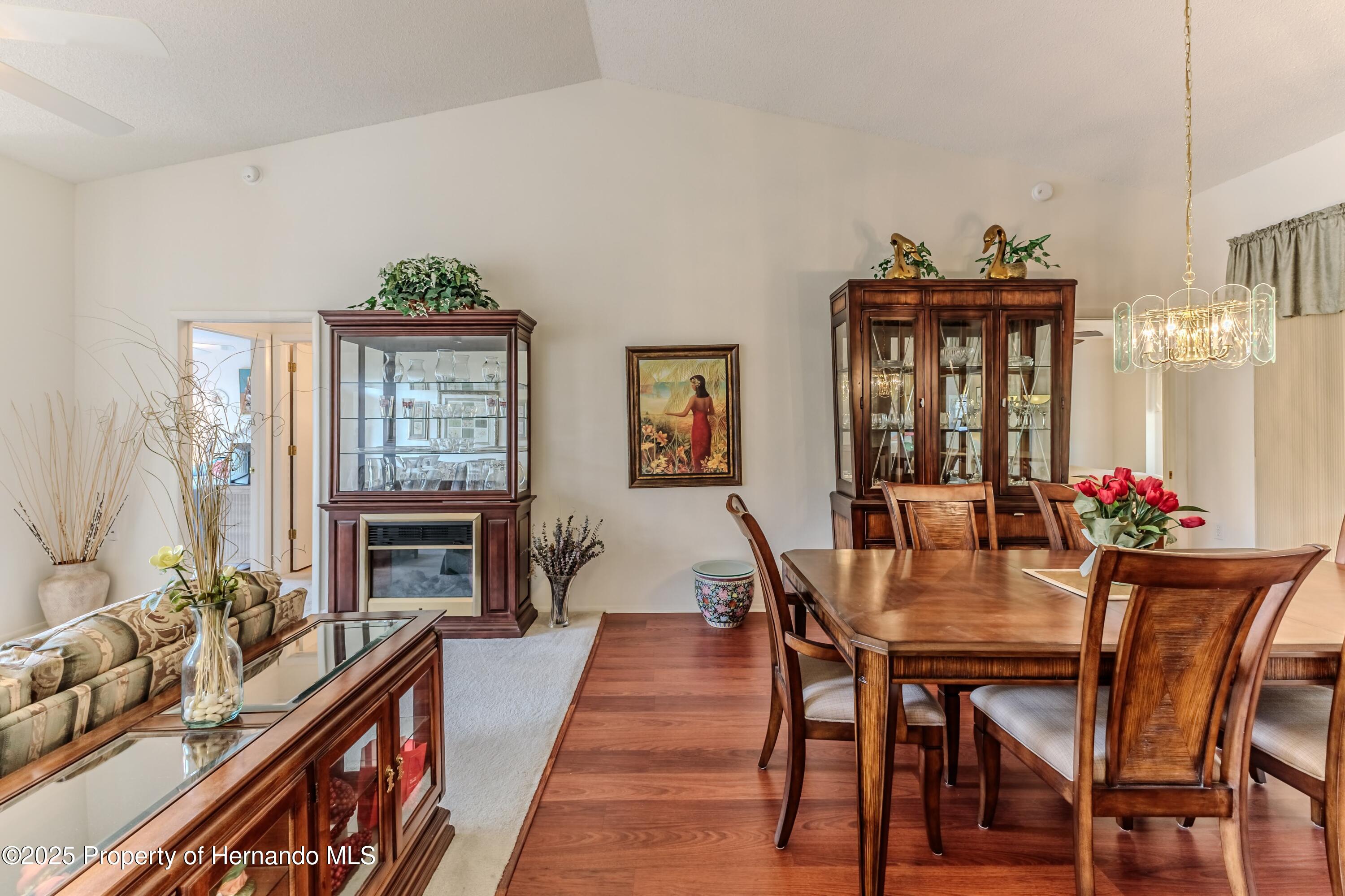 7392 Willow Brook Drive, Spring Hill, Florida image 13