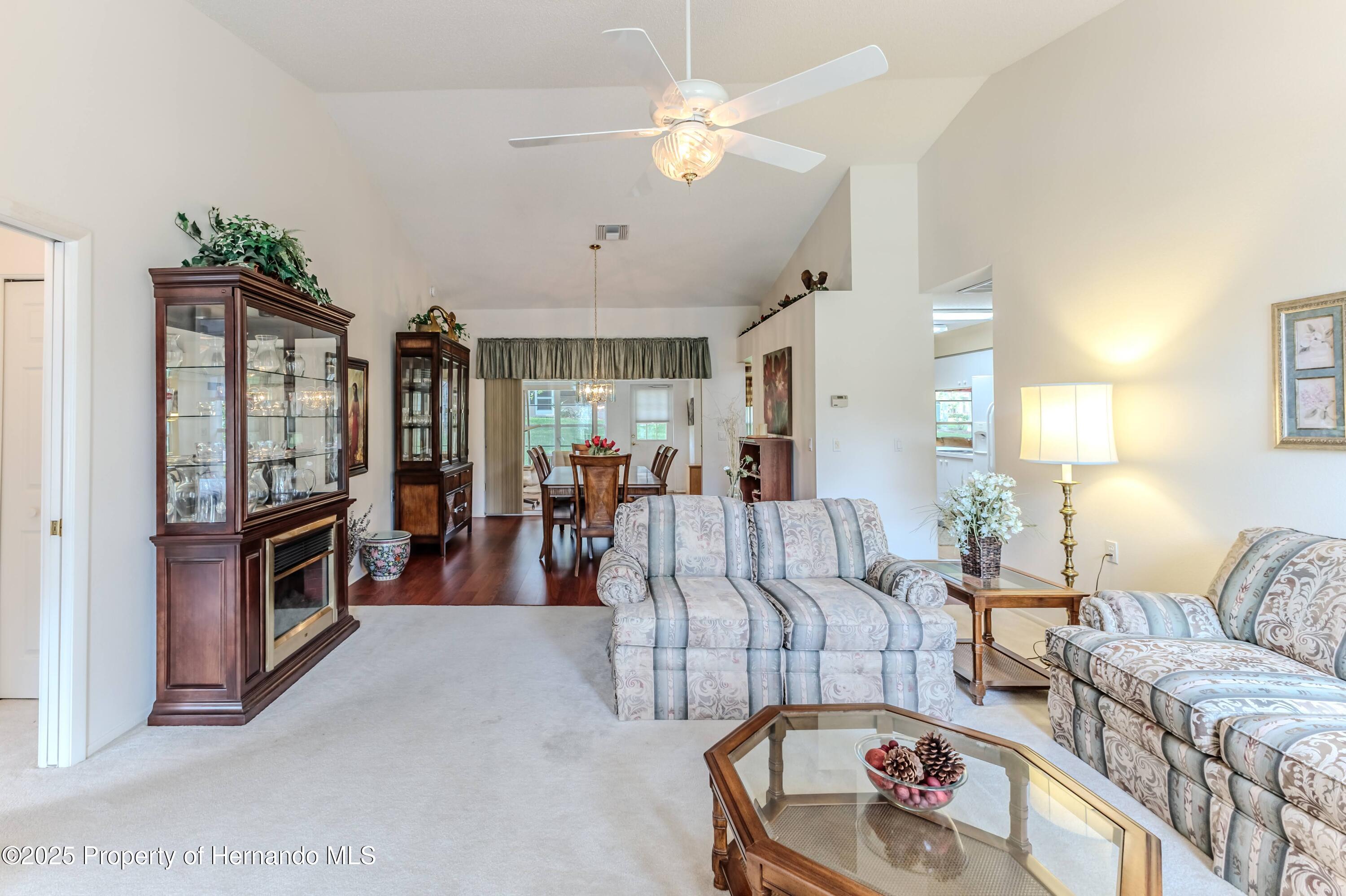 7392 Willow Brook Drive, Spring Hill, Florida image 12