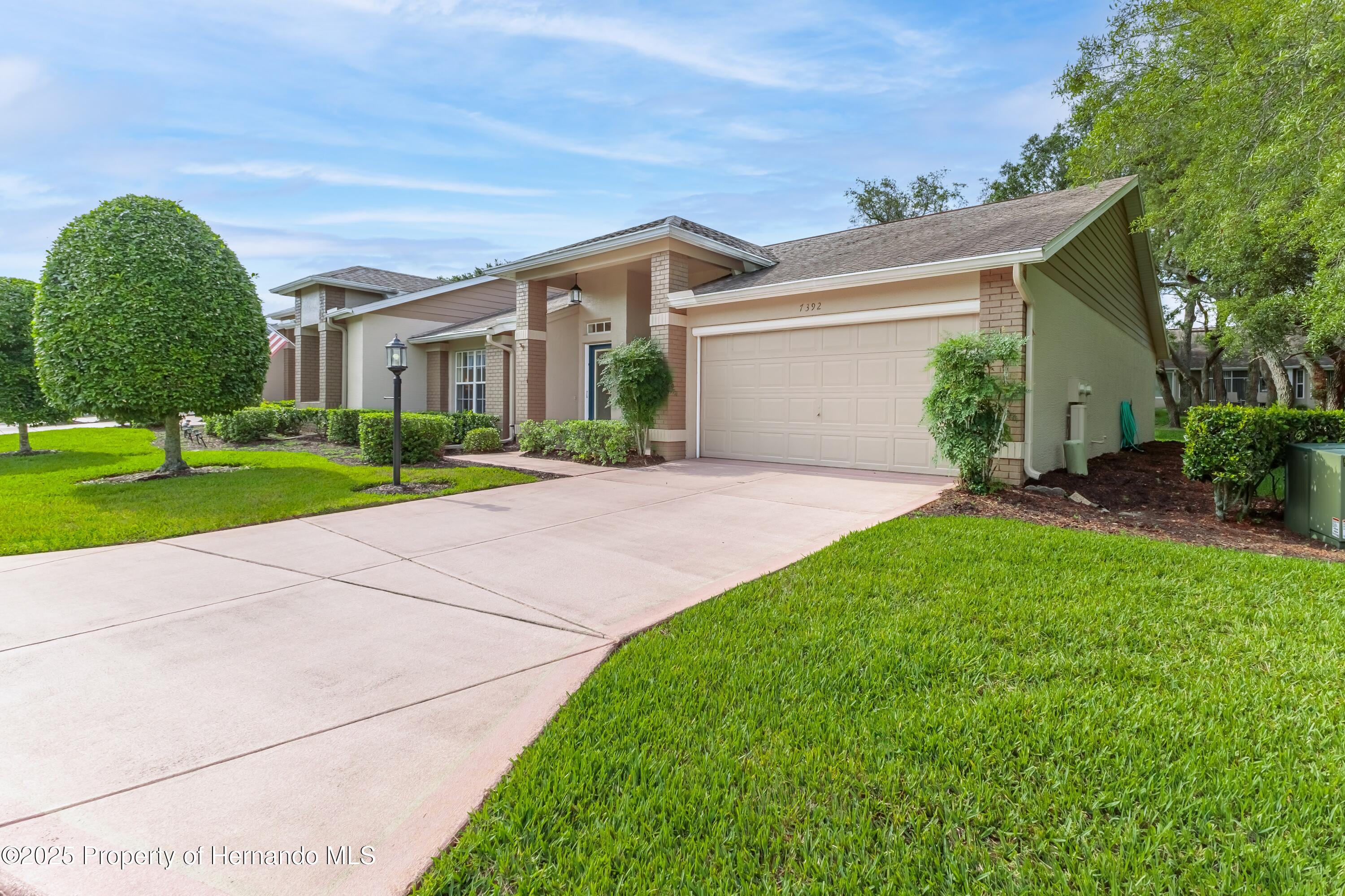 7392 Willow Brook Drive, Spring Hill, Florida image 6