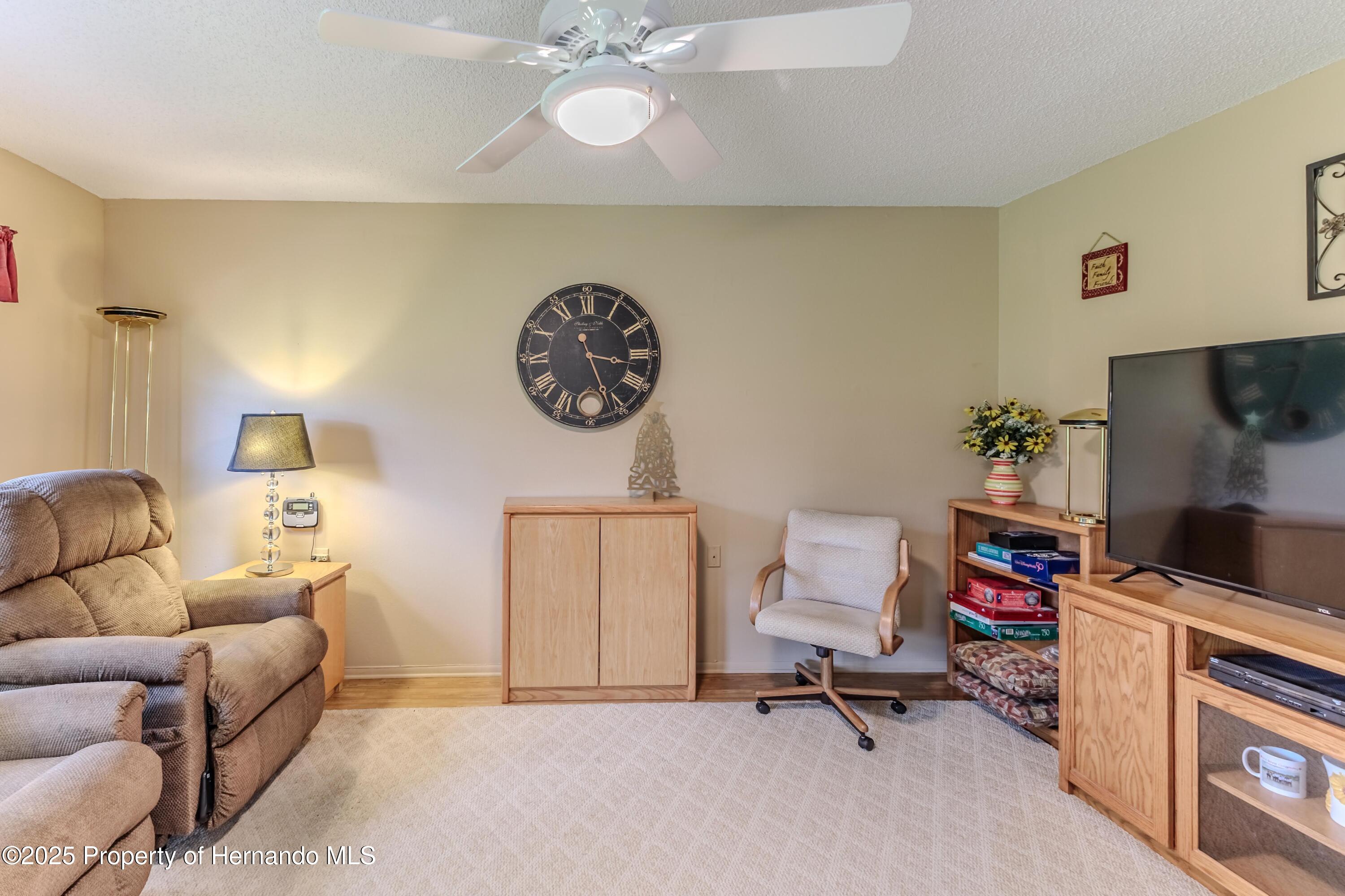 7392 Willow Brook Drive, Spring Hill, Florida image 39