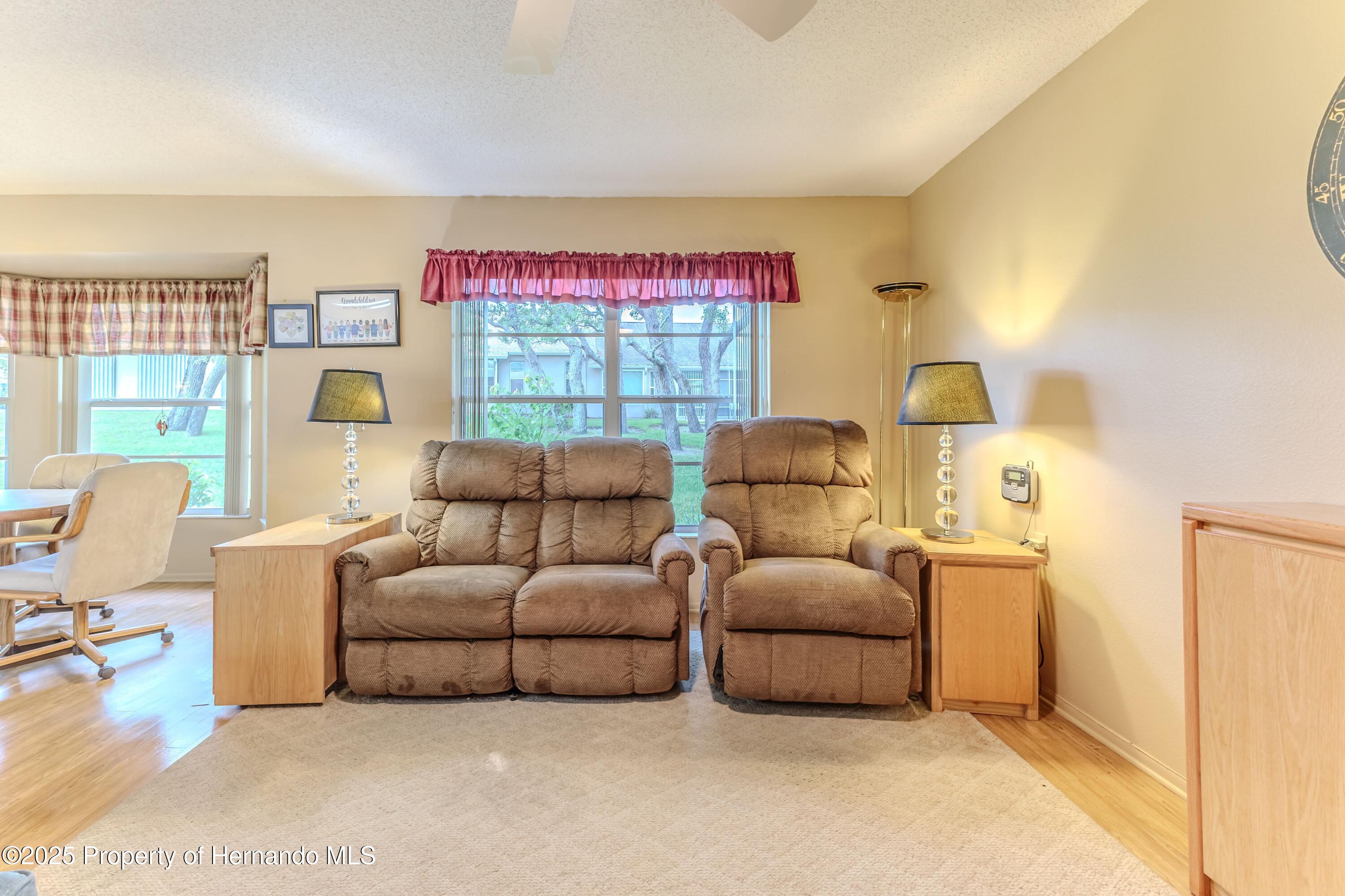 7392 Willow Brook Drive, Spring Hill, Florida image 43