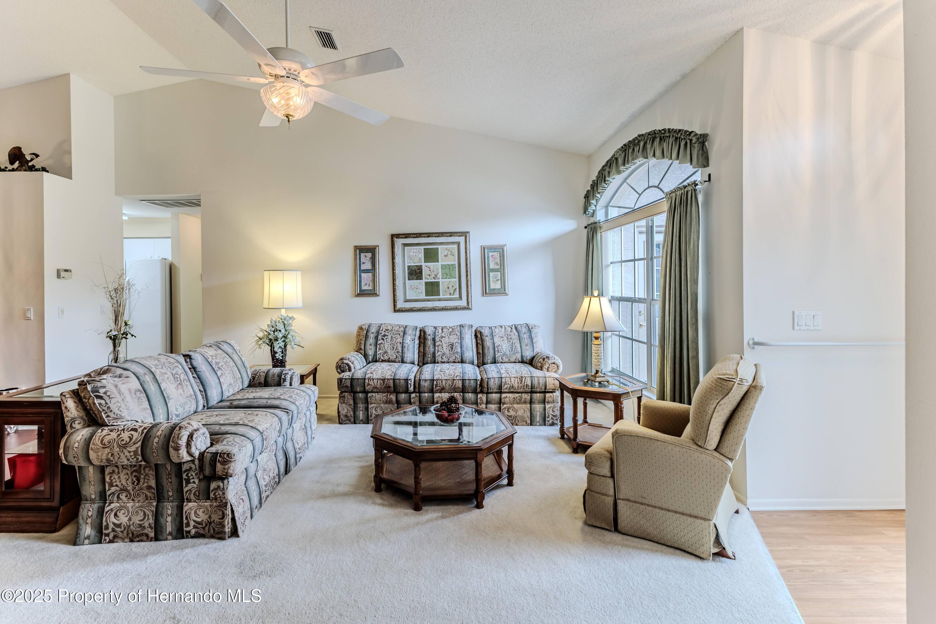 7392 Willow Brook Drive, Spring Hill, Florida image 9