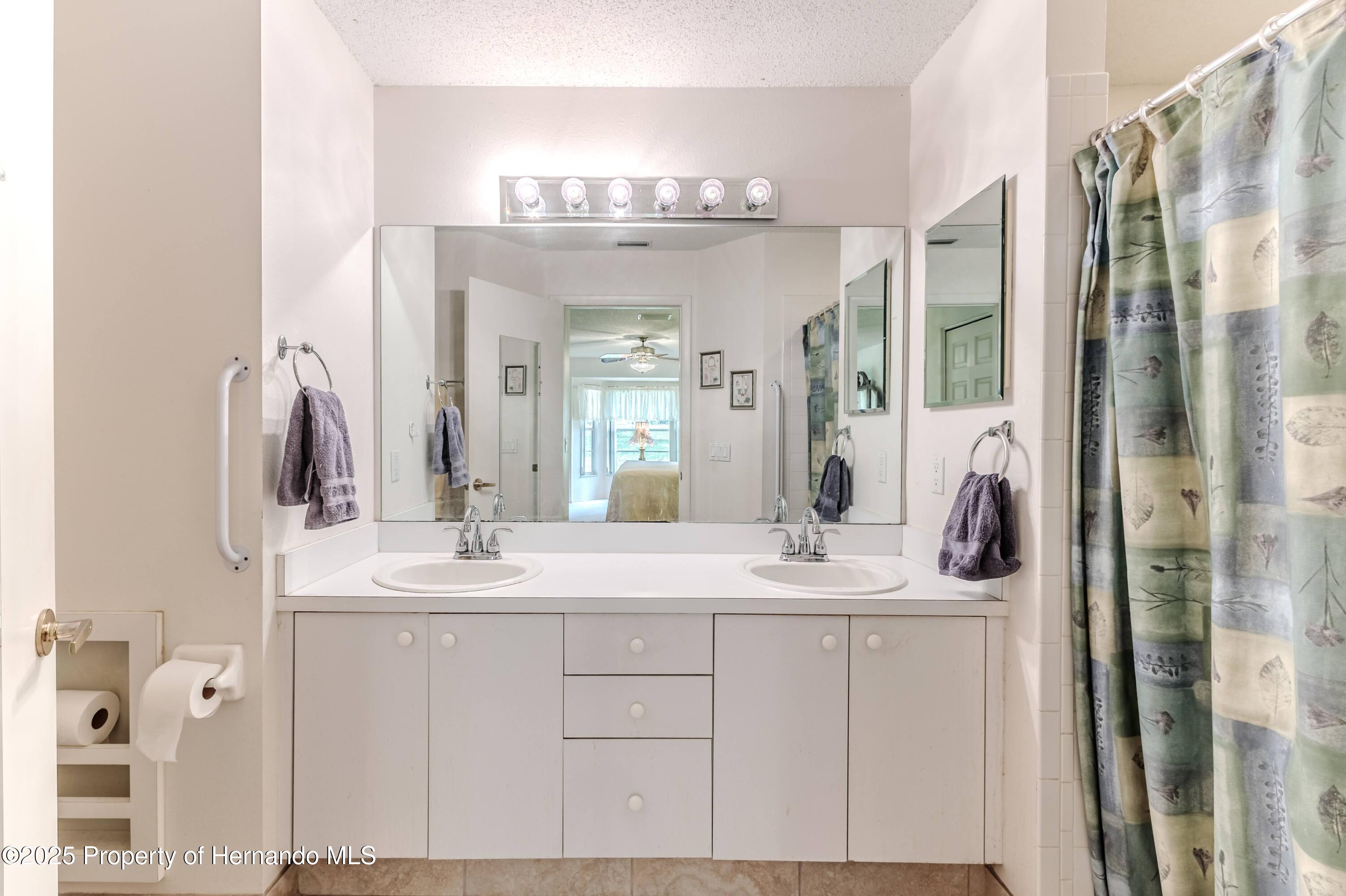 7392 Willow Brook Drive, Spring Hill, Florida image 32