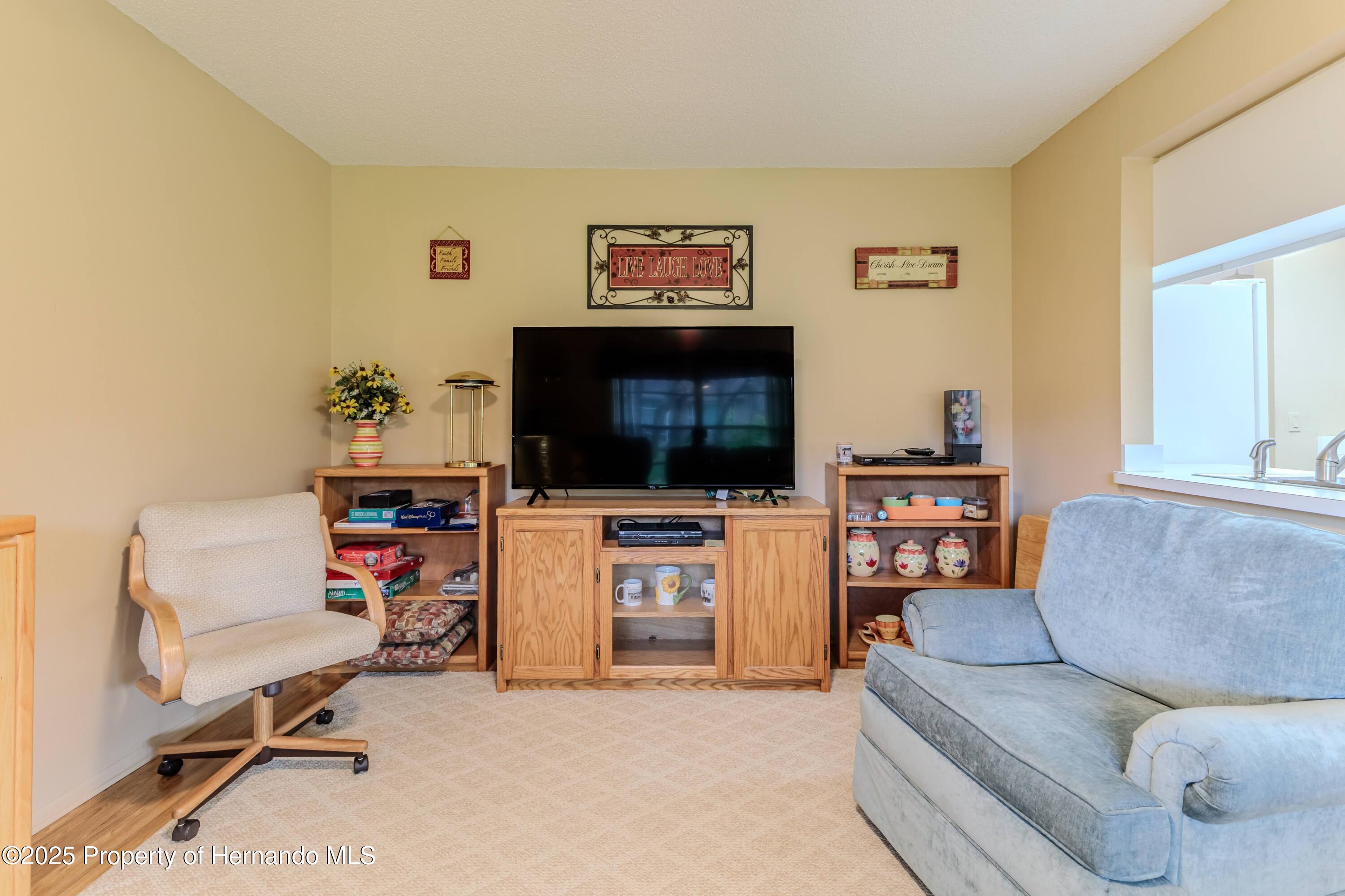 7392 Willow Brook Drive, Spring Hill, Florida image 41