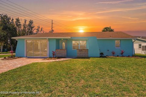 Homes For Sale - 7608 Yachtsman Drive<br/> Hudson, FL 34667