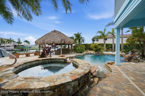 3496 Gulfview Drive Hernando Beach FL 34607