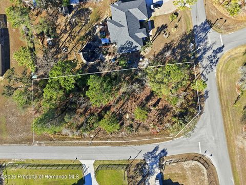 Vacant Land For Sale - 11448 Mirage Avenue<br/> Weeki Wachee, FL 34614
