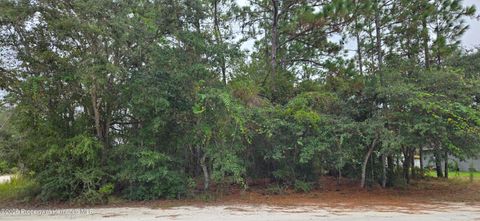 Vacant Land For Sale - Canada Goose Road<br/> Weeki Wachee, FL 34614