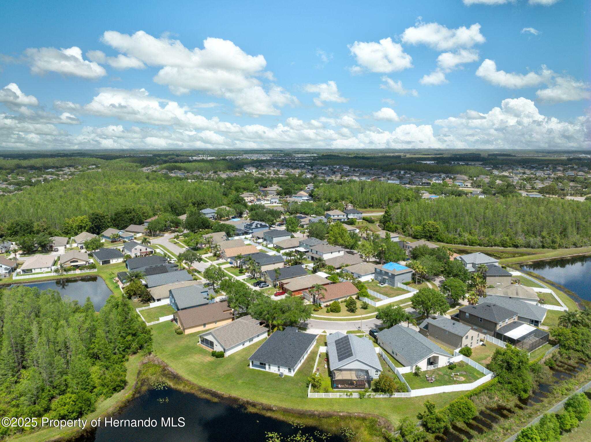 18456 Merseyside Loop, LAND O LAKES, Florida image 41