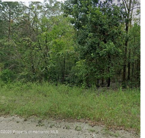 Vacant Land For Sale - NE 160th Avenue<br/> Williston, FL 32696