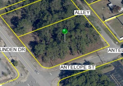 Vacant Land For Sale - Linden Drive<br/> Spring Hill, FL 34609