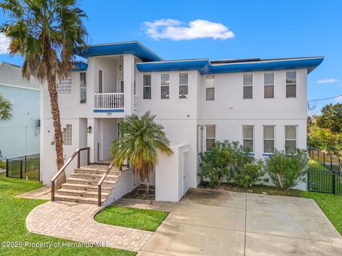 3223 Hibiscus Drive Hernando Beach FL 34607