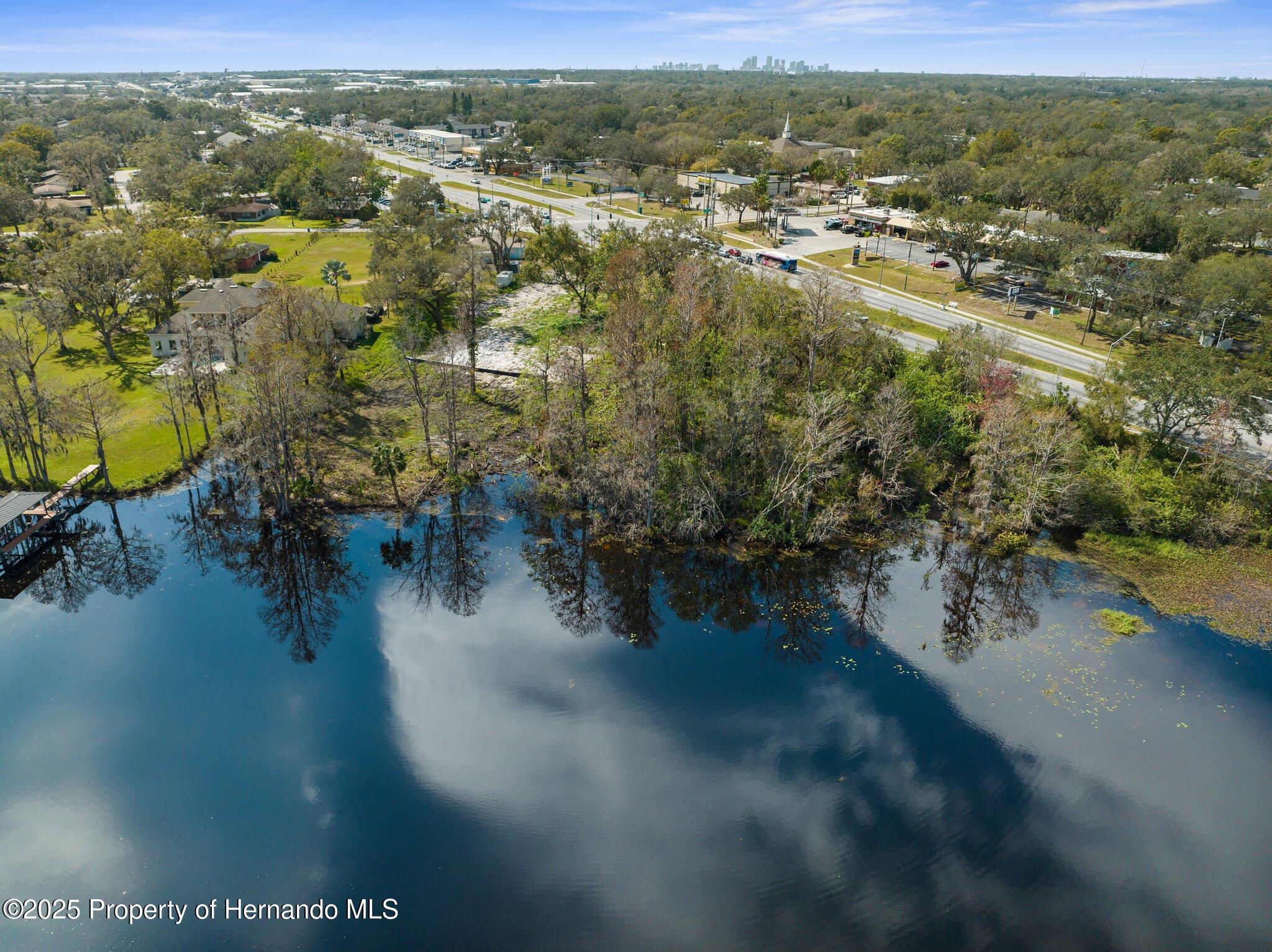 56th Street, Tampa, Florida image 9