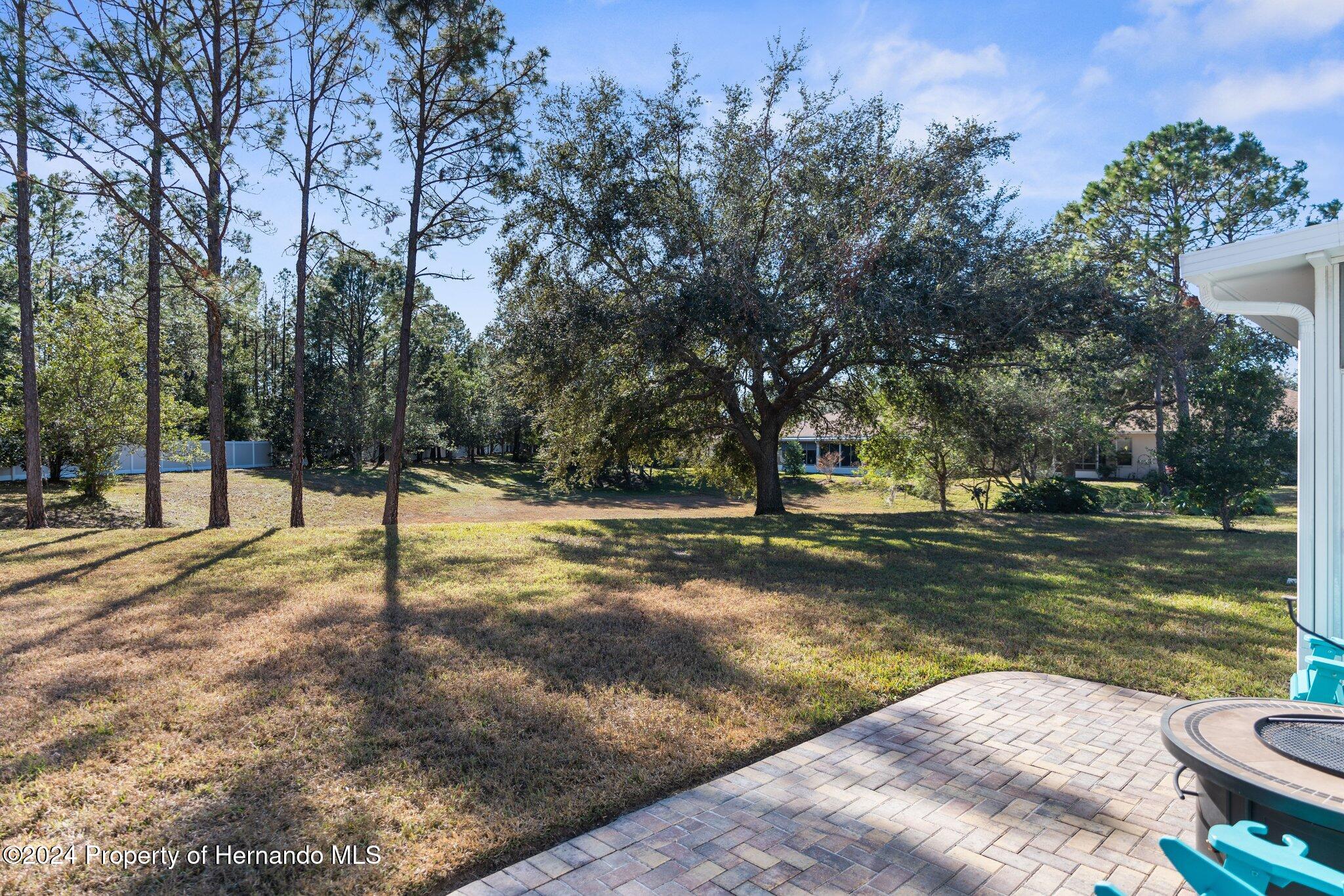 15038 Sterling Run, Brooksville, Florida image 24