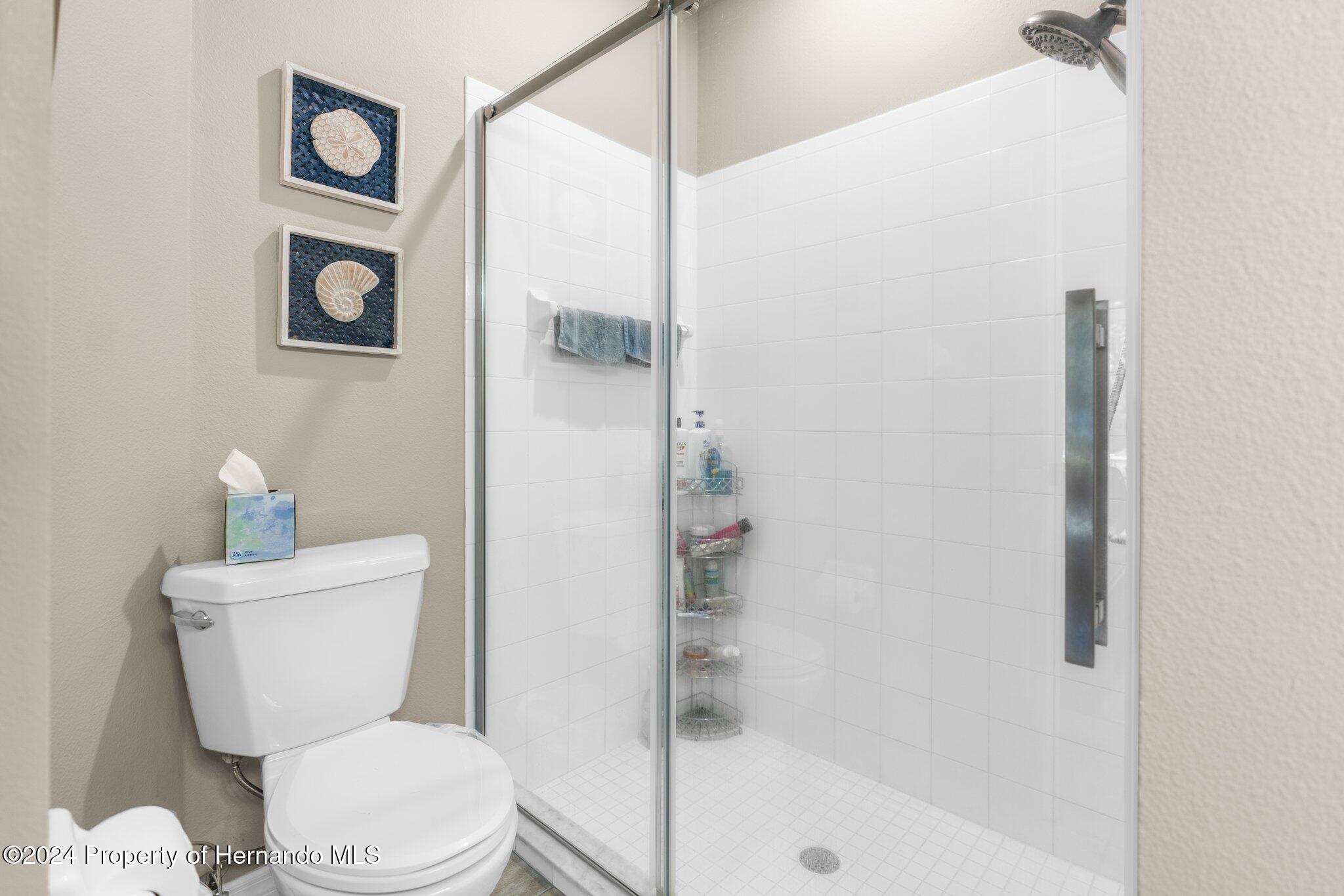 15038 Sterling Run, Brooksville, Florida image 19