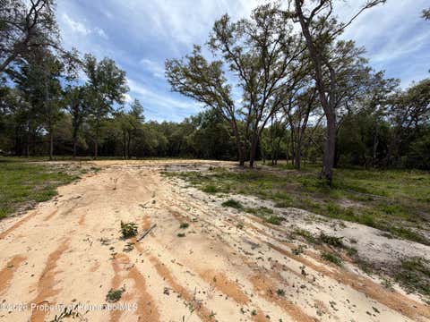 Vacant Land For Sale - Wheystone Drive<br/> Webster, FL 33597