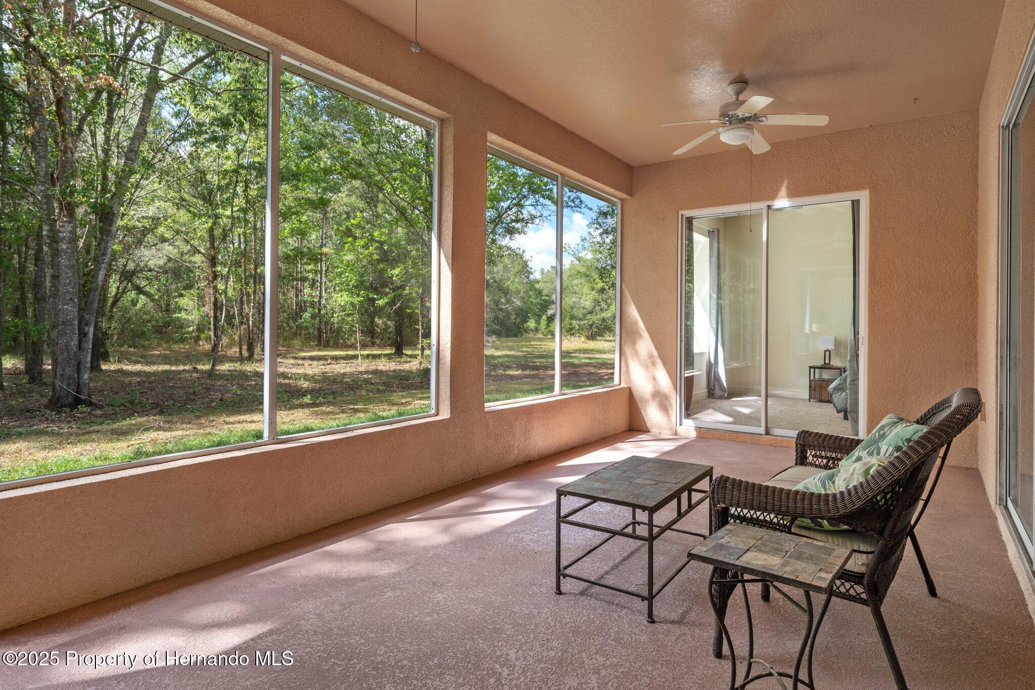 19263 Quiet Oak Lane, Brooksville, Florida image 41