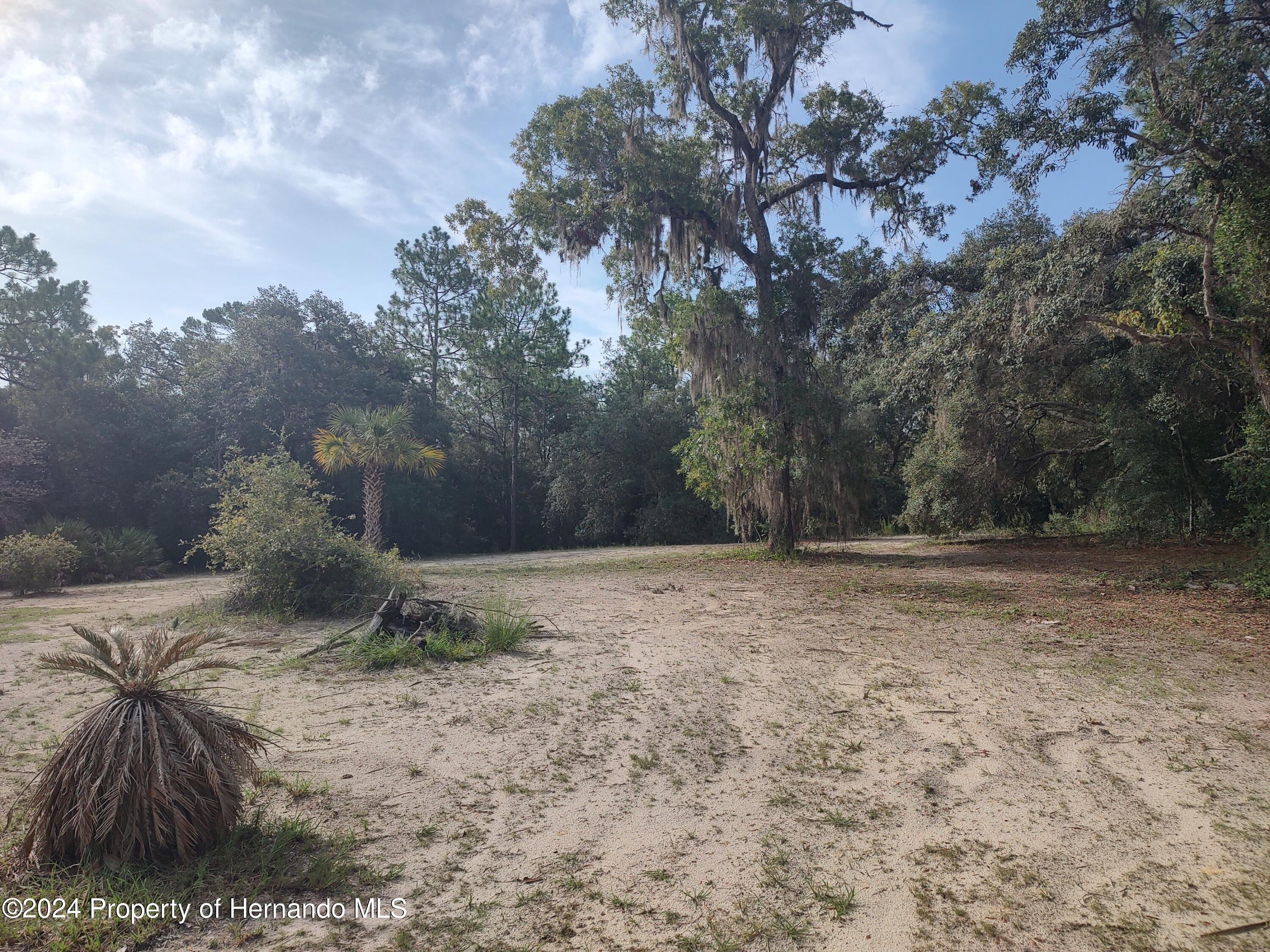 6950 E Greenup Court, Floral City, Florida image 31