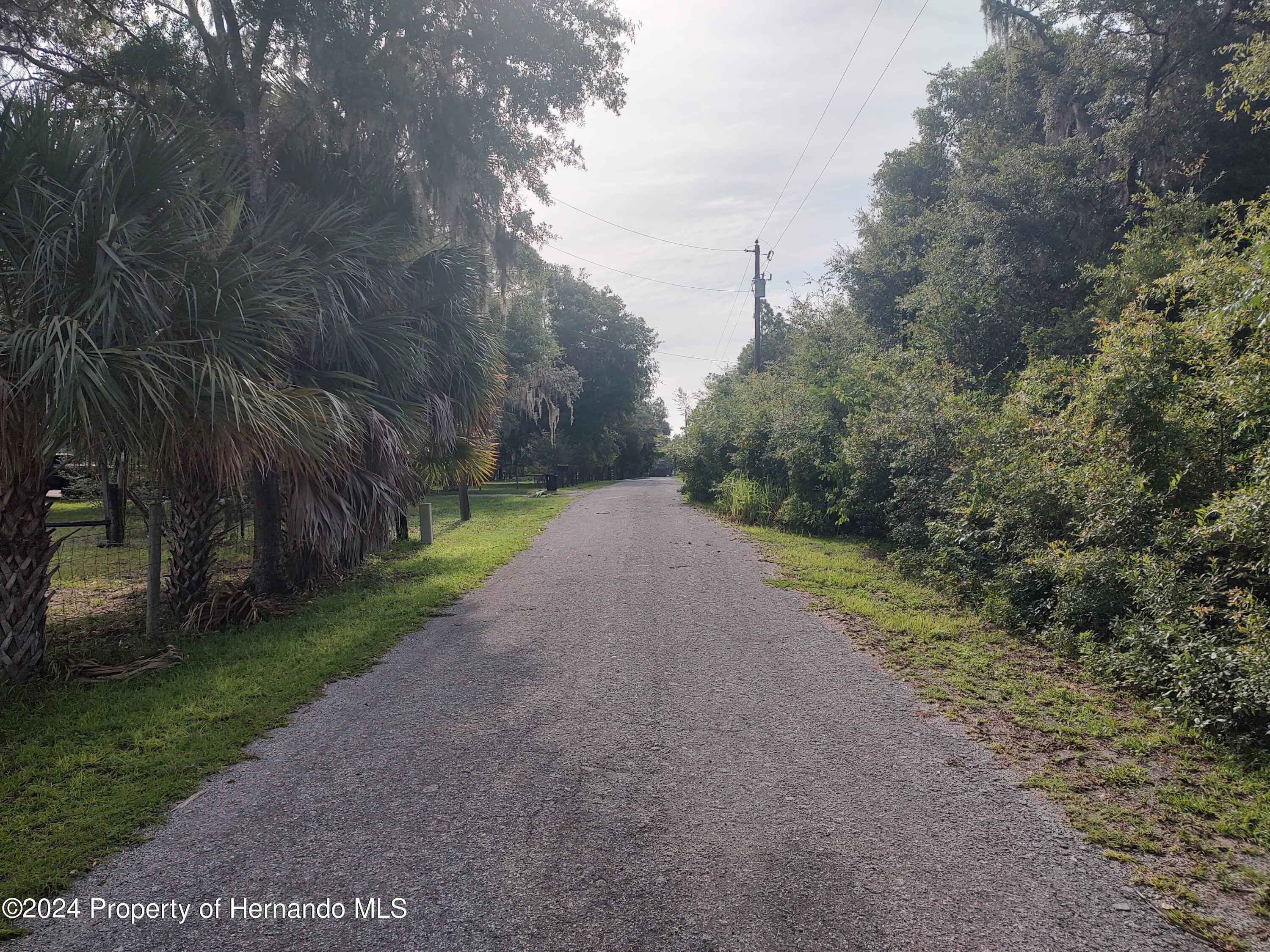 6950 E Greenup Court, Floral City, Florida image 25