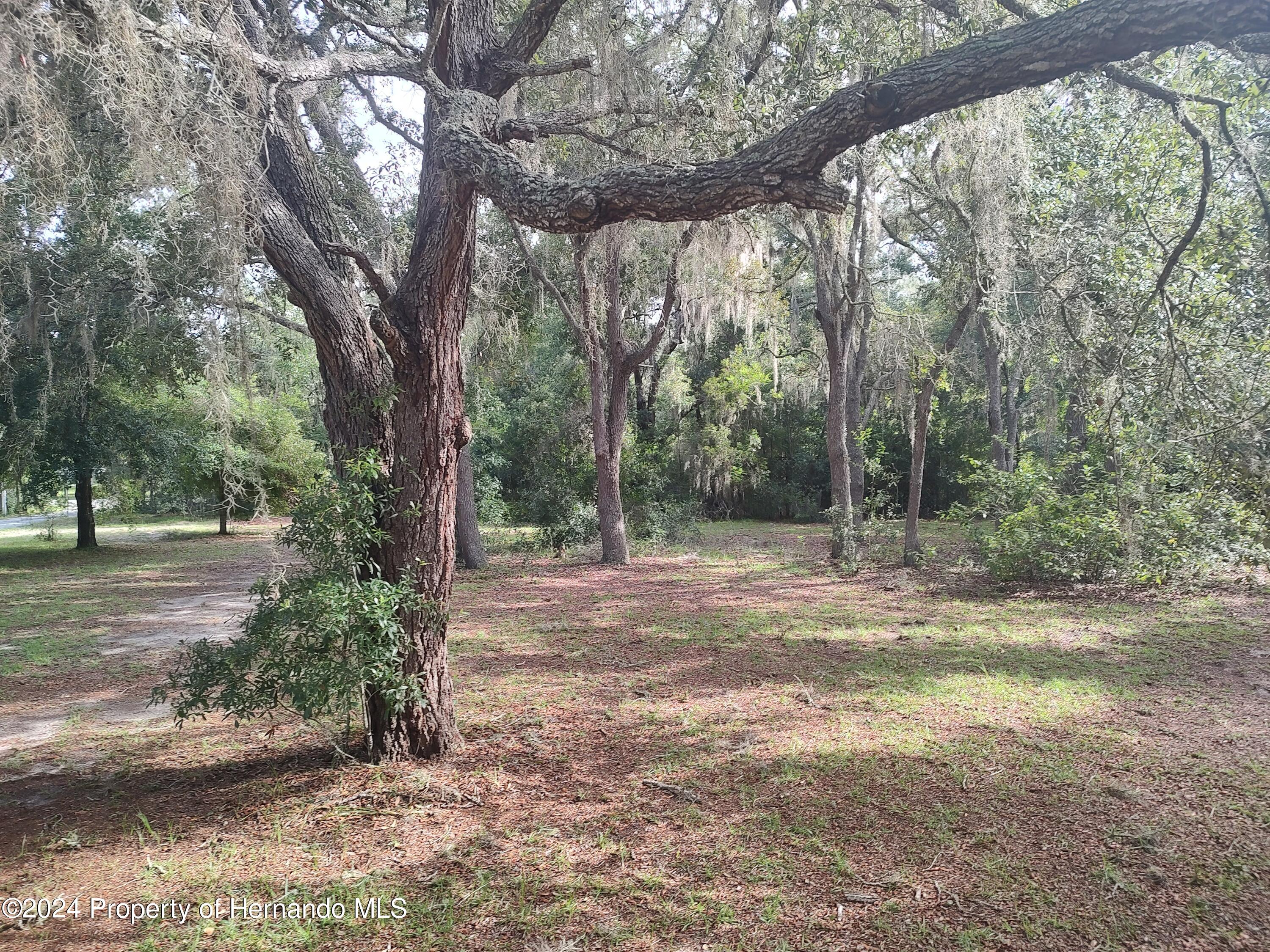 6950 E Greenup Court, Floral City, Florida image 29