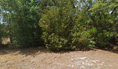 2672 S Willow Terrace, Homosassa, Florida image 1
