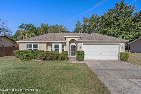 Homes For Sale - 9289 Chilton Street<br/> Spring Hill, FL 34608