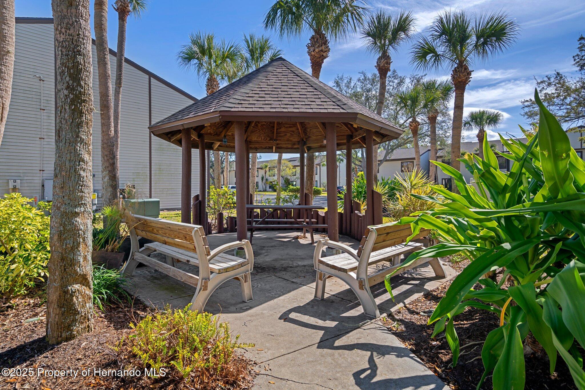 314 Moorings Cove Drive, Tarpon Springs, Florida image 24