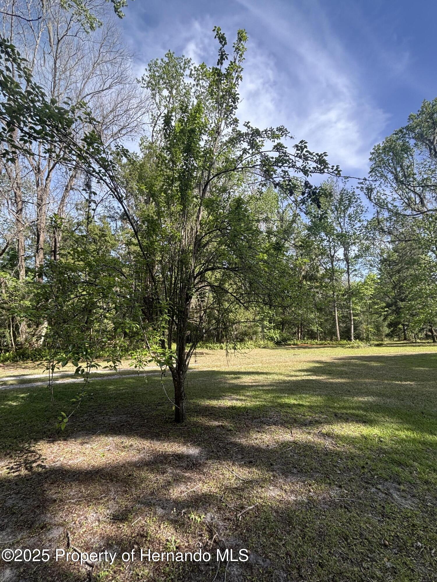 23060 Whitman Road, Brooksville, Florida image 43