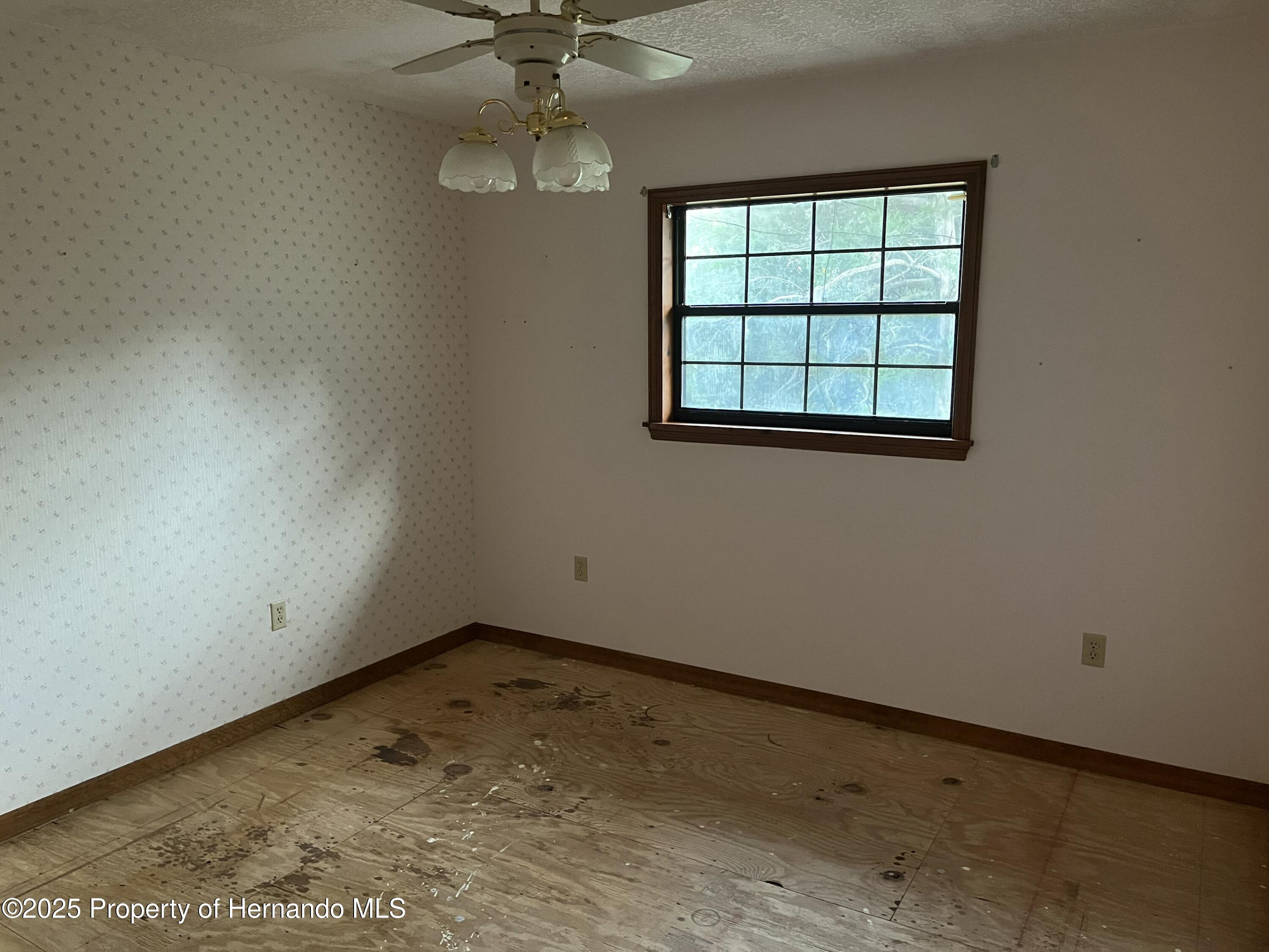 23060 Whitman Road, Brooksville, Florida image 19