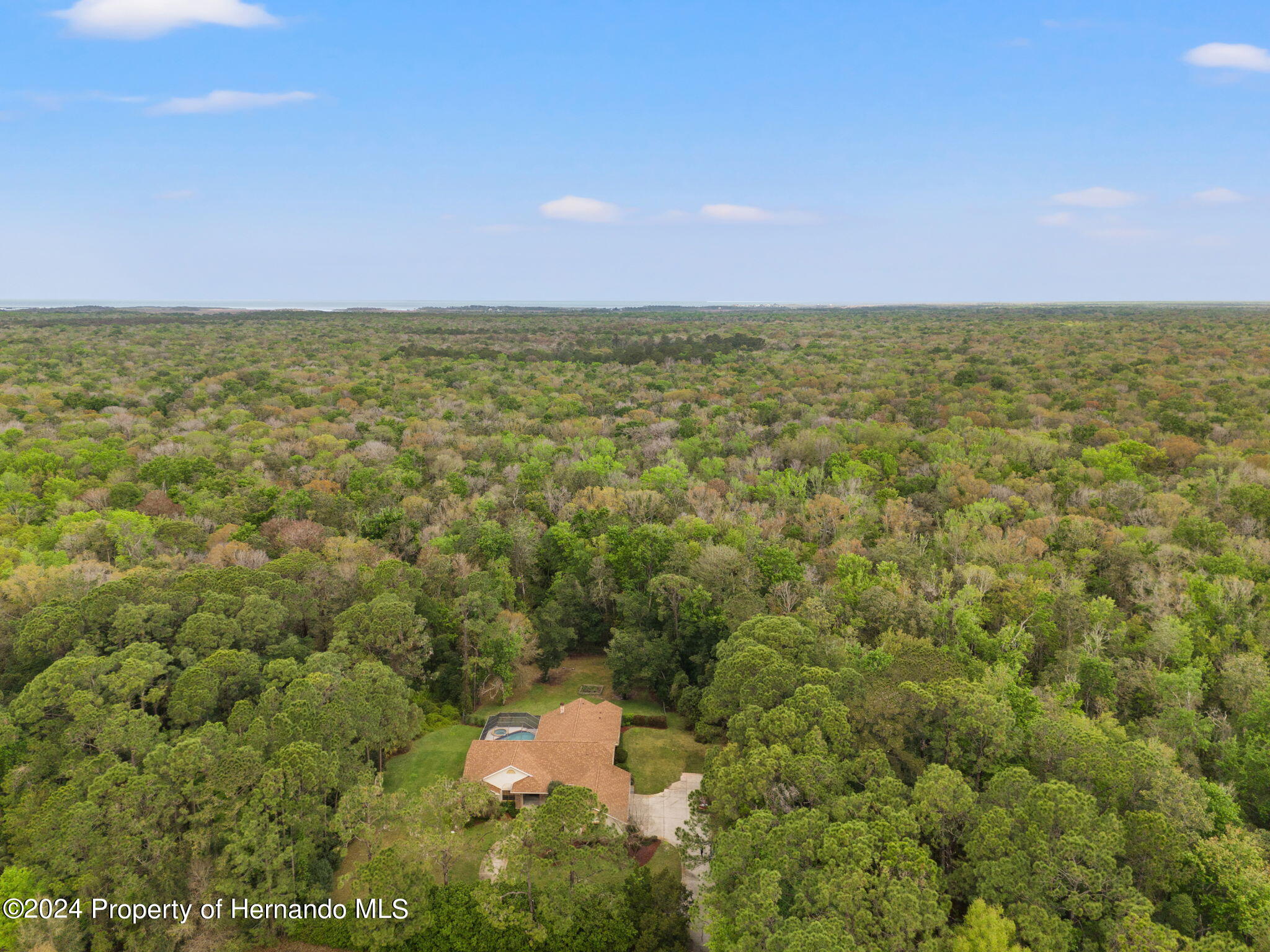 7397 Royal Oak Drive, Spring Hill, Florida image 37