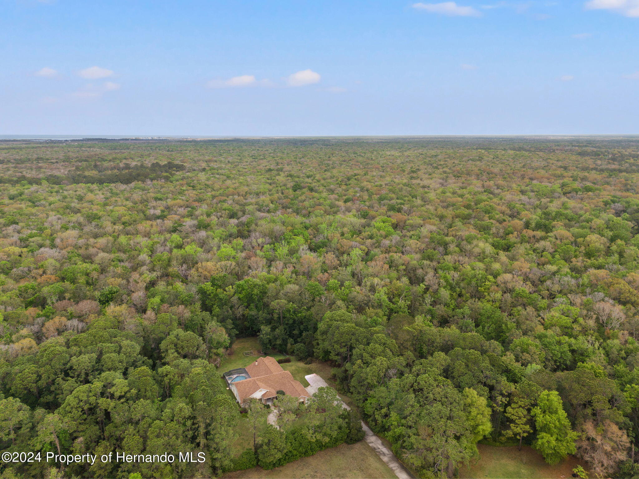 7397 Royal Oak Drive, Spring Hill, Florida image 7