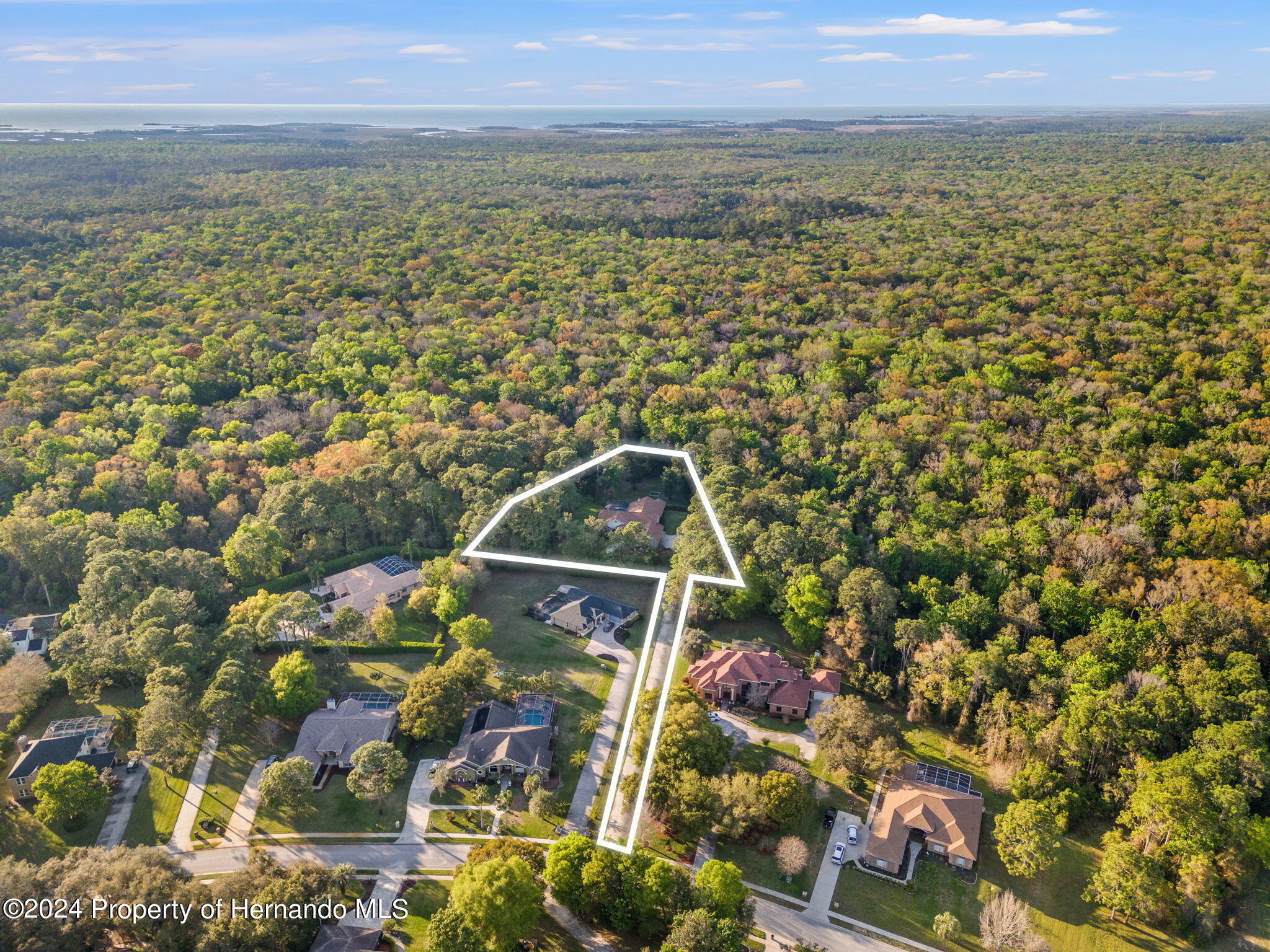 7397 Royal Oak Drive, Spring Hill, Florida image 4