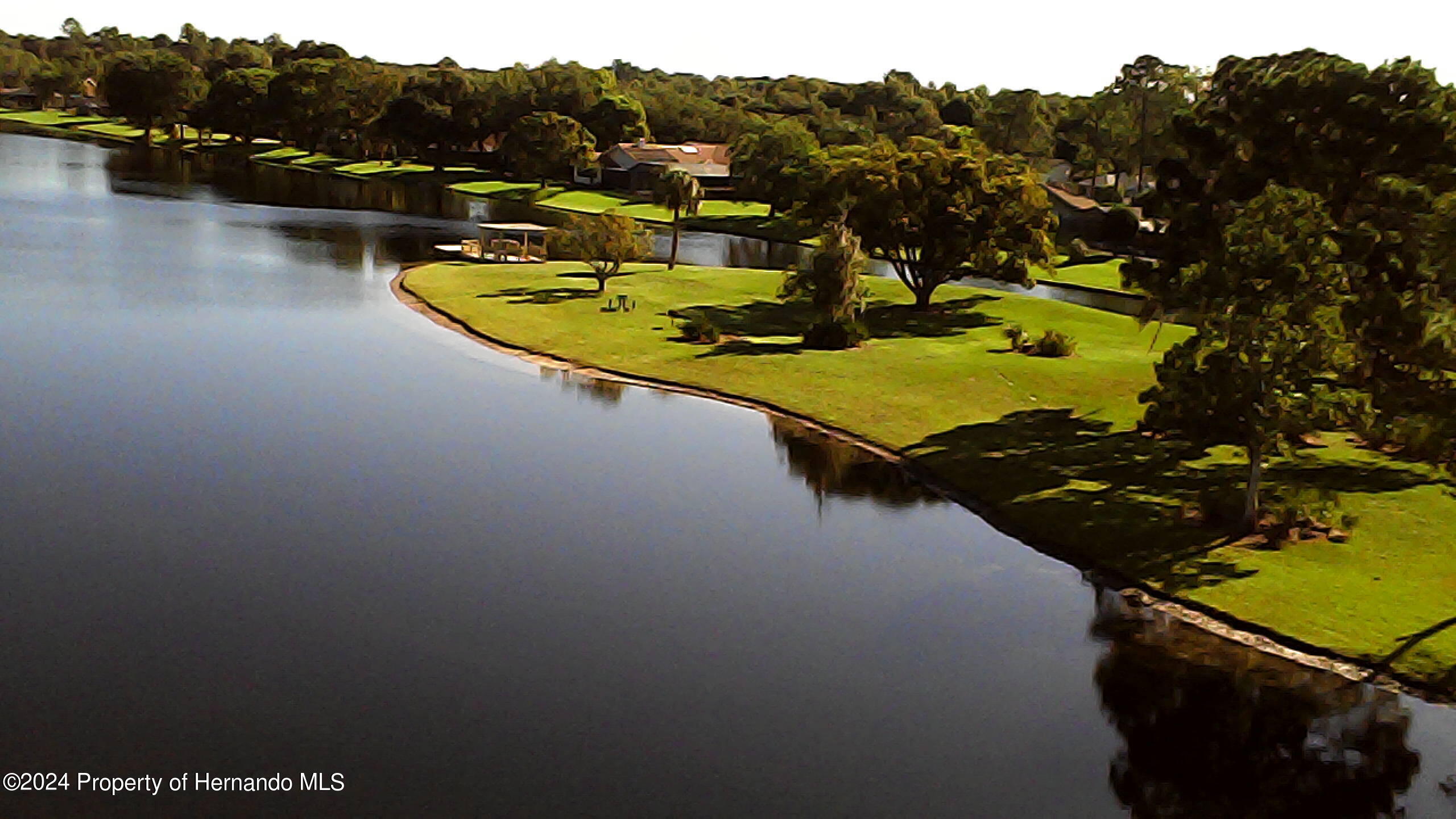 7397 Royal Oak Drive, Spring Hill, Florida image 39