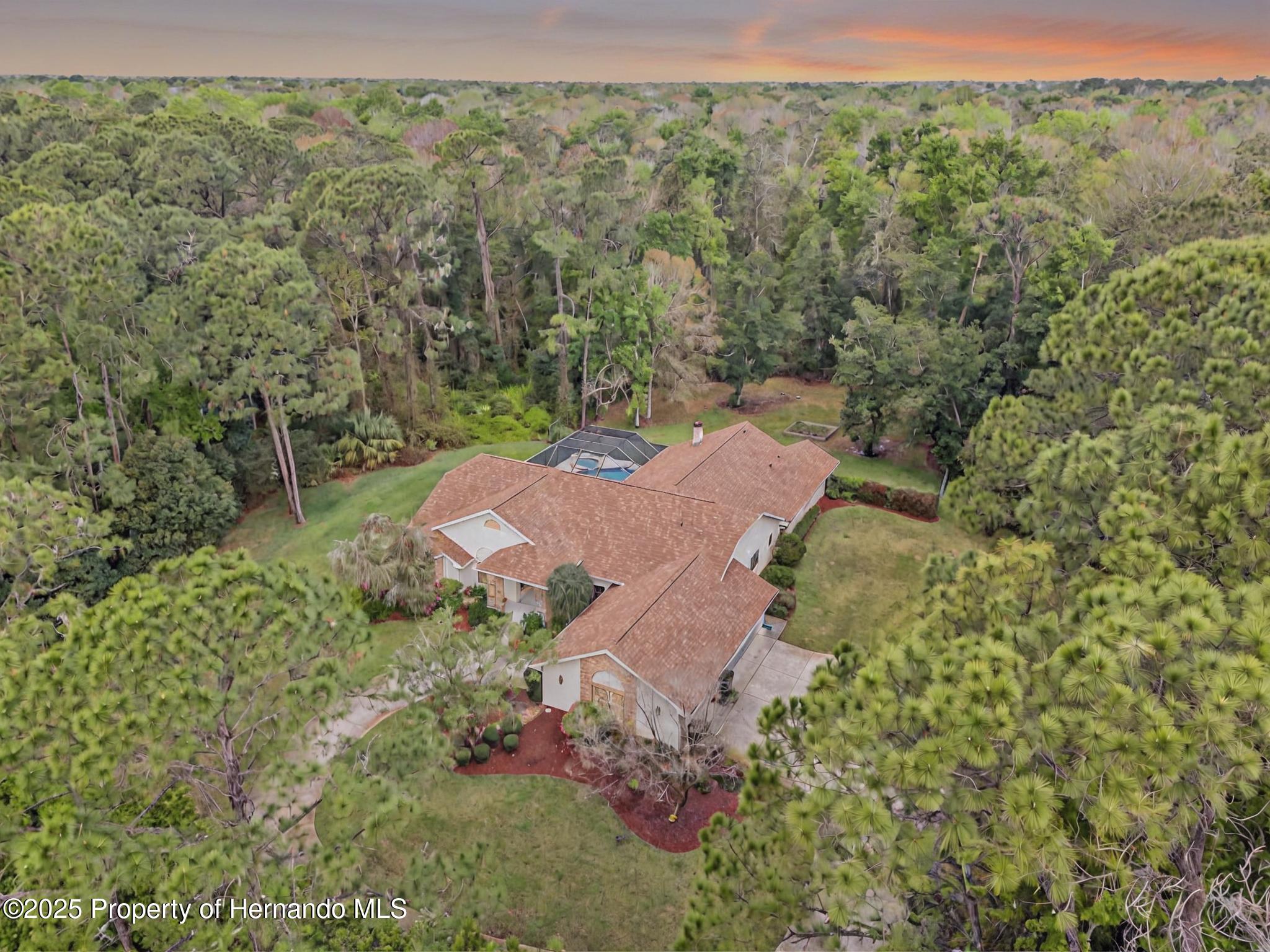 7397 Royal Oak Drive, Spring Hill, Florida image 41