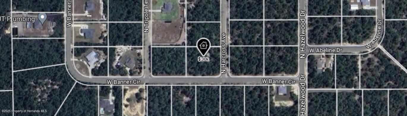 6534 N Harcross Avenue, Citrus Springs, Florida image 2