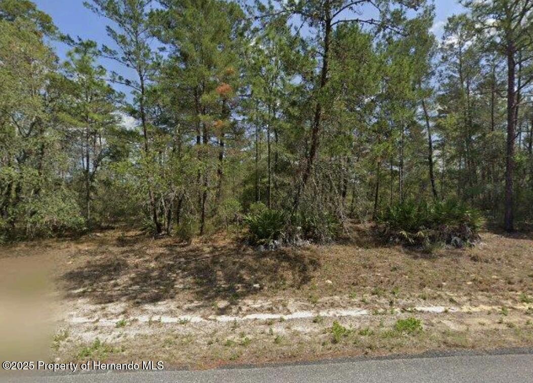 6534 N Harcross Avenue, Citrus Springs, Florida image 1