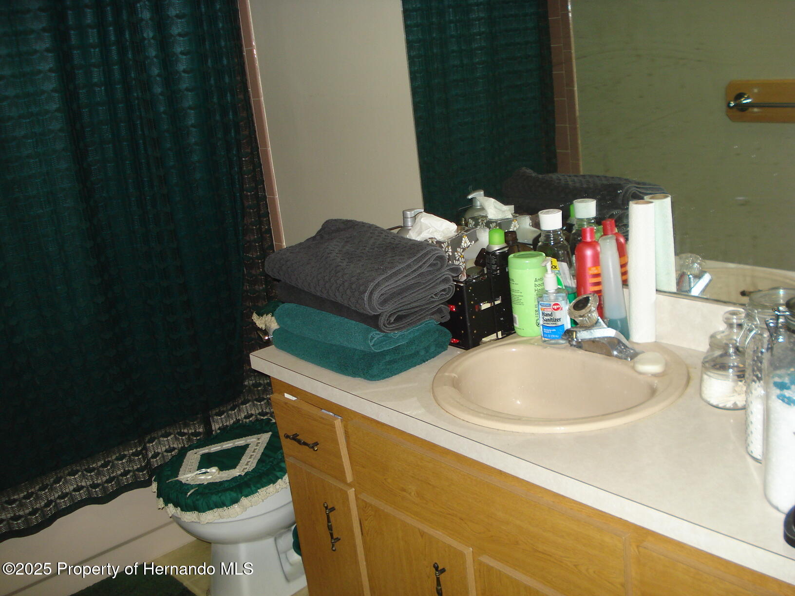 12132 Norvell Road, Spring Hill, Florida image 2