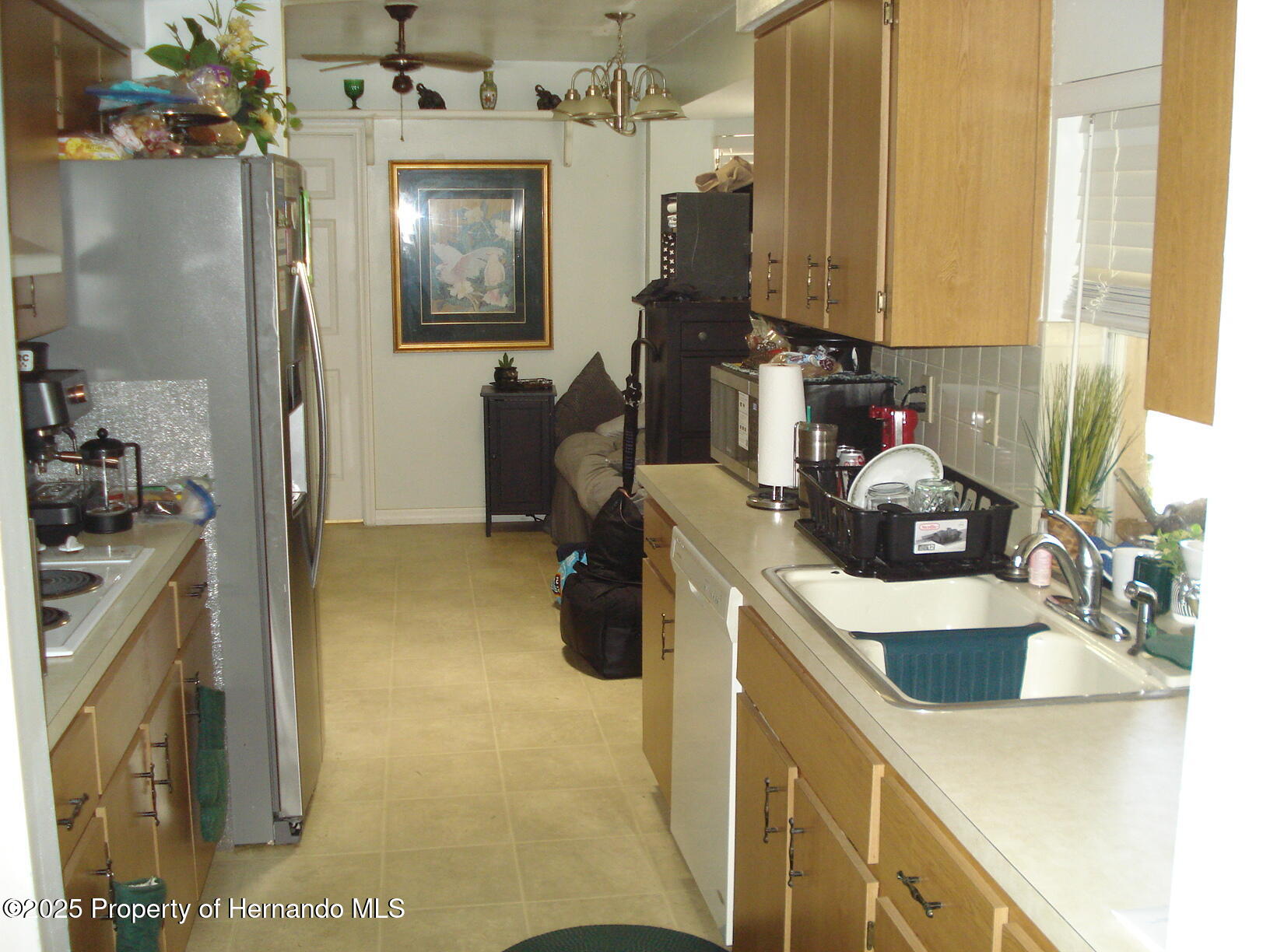 12132 Norvell Road, Spring Hill, Florida image 5