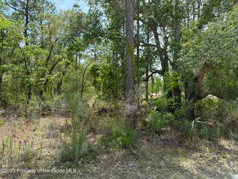 Vacant Land For Sale - 00 Snow Goose Avenue<br/> Weeki Wachee, FL 34614
